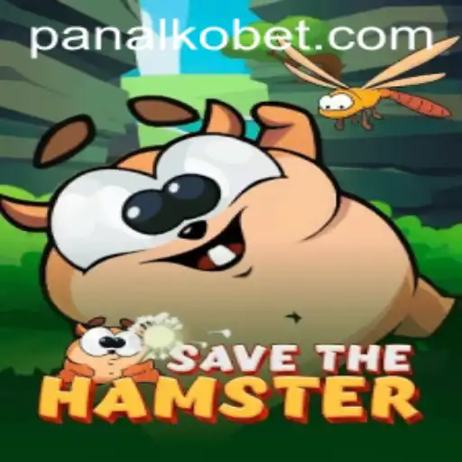 SavetheHamster: An Innovative Adventure with PANALKO